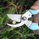 Curve Gardening Scissor with Sharp Stainless Steel Blade Garden Shears for Cutting Flowers Trimming Plants of Yard Florist Flower Rose Herb Hedge Bonsai and Fruits Picking (Black Handle) by GreenHaven Gardens