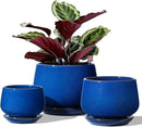 LE TAUCI Plant Pots, 4.1+5.1+6.5 inch, Set of 3, Ceramic Planters with Drainage Hole and Saucer, Indoor Flower Pot with Hole Mesh Pad, Gifts for Mom, Sapphire Blue by GreenHaven Gardens