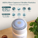 LEVOIT Air Purifier for Baby with White Noise Sound Machine and Blue-Light-Free Night Light in Bedroom, HEPA Filter Removes Ultrafine Particle, AHAM VERIFIDE, 5 Air Quality Monitor, Smart WiFi, Sprout by TinyTreasures Baby Boutique