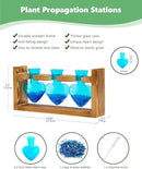 Nacome Plant Terrarium for Office Decor: Birthday Gifts for Plant Lovers Women Mom Wife - Wooden Stand Tabletop Planter 3 Bulb Glass Vase Heart Shaped for Hydroponics Indoor Home by CozyNest Decor