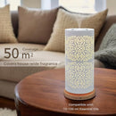 Earnest Living Waterless Diffuser 100ml Nebulizing Diffusion System for Studio Home Office Hotel Spa by TinyTreasures Baby Boutique
