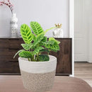 Cotton Rope Plant Basket Modern Woven Basket for 6" Flower Pot Floor Indoor Planters,Rustic Home Decor Storage Organizer H6 3/4" x W6 1/2" by CozyNest Decor