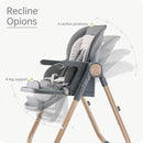 6 in 1 Convertible High Chairs for Babies and Toddlers,Portable High Chair with Dishwasher Tray and 4 Wheel,Booster Seat for Dining Table,Foldable Toddle and Baby Feeding Highchair (Gold-Grey) by TinyTreasures Baby Boutique