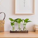 YIBOT Propagation Stations,Plant Propagation Vase,Desk Plant Terrarium with Retro Wooden Stand,Plant Lover Gifts for Women for Hydroponics Plants Home Garden Wedding Decor(3 Vase) by CozyNest Decor