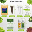 Salad Greens Seed Pod Kit for AeroGarden Hydroponics Growing System, Indoor Home Garden with American Fast/Paris Island/Buttercrunch Lettuce, Swiss Chard, Spinach, Cauliflower and Wild Cabbage, 7 Pods by GreenHaven Gardens