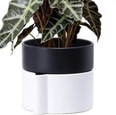 8 Inch Self-Watering Planter Pot with Terracotta Insert, Deep Water Reservoir, and Ceramic-Alike BPA-Free Plastic Planter Pot for Plant, Modern Planter for Houseplants, White/Black, 53-B-T-4 by GreenHaven Gardens