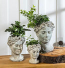 Abbott Collection Goddess Head Planter - Large Cement Indoor and Outdoor Planter Pot - Grecian Woman Statue Head Planter for Flowers and Succulents - Grey (10" H, 4.5" Opening) by GreenHaven Gardens