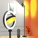 36W Bright LED Floor Lamp for Living Room with Remote, 75.5 Inch Tall Stepless Dimmable Standing Lamp for Office, Torchiere Floor Lamp with 2 Rotatable Lights 1900K-6500K for Bedroom by CozyNest Decor
