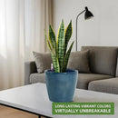 Dexceder 11x10 Inches Self Watering Planter Indoor Outdoor, Inner Pot Design, Thickened Table Flower Plant Pot with Water Level Indicator (Grayish Green Gradient) by CozyNest Decor