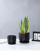Black Plant Pot with Drainage Holes and Saucers, Ceramic Pots for Indoor Outdoor Plants, 4 & 5 Inch Premium Hand Glazed Sustainable Planters for Flower, Garden, Succulent, Nursery, Home Decor by GreenHaven Gardens