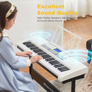 61 Key Piano Keyboard, Electric Keyboard Piano with Light-Up Keys, 255 Tones/Rhythms, Smart Learning System, Headphone, Microphone, Keyboard Stand, Stool, Stickers, Piano Keyboard Set for Beginners by TinyTreasures Baby Boutique