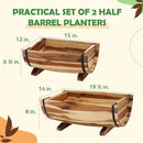 IDZO Solid Acacia Wood Half Barrel Planters Outdoor Set of 2 Different Sizes, Wooden Planters for Outdoor Plants with Metal Bands & Drainage Holes, Legs Included, Natural by GreenHaven Gardens