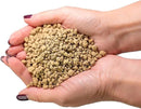 Japanese Hyuga Pumice - Premium Additive for Orchid & Bonsai Tree Soil |Professional Imported Sifted and Ready to Use (5 Quart Bag) by GreenHaven Gardens