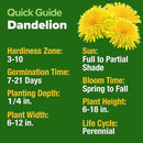 HOME GROWN 𝗨𝗦𝗔 𝗣𝗥𝗘𝗠𝗜𝗨𝗠 Dandelion Seeds for Planting – 600 Heirloom Medicinal Herb Seeds (~0.3g) 𝗡𝗢𝗡-𝗚𝗠𝗢 Grow Edible Leaves and Flowers for Remedies or Wildlife (Taraxacum officinale) by GreenHaven Gardens