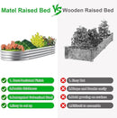 2Pack Raised Garden Bed 6×3×1FT,Galvanized Planter Box Oval Large Matel Steel Backyard Beds Outdoor for Vegetables,Flowers,Herbs,Plant by GreenHaven Gardens