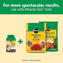 Miracle-Gro Shake 'N Feed All Purpose Plant Food, For In-Ground and Container Plants, Feeds for up to 3 Months, 1 lb. by GreenHaven Gardens