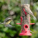 Kingsyard 2 Pack Tube Bird Feeders for Outdoors Hanging, Premium Hard Plastic Bird Feeder with 6 Feeding Ports, Weatherproof & Steel Hanger, Attracting for Wild Birds (Red) by CozyNest Decor