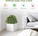 THE BLOOM TIMES 2ft Faux Boxwood Plants Outdoor Set of 2, Topiary Balls Artificial Outside Trees, 24" UV Resistant Fake Greenery Bushes & Shrubs for Front Porch Planter by GreenHaven Gardens