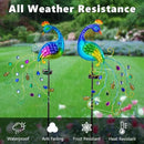 DREAMSOUL 2 Pack Peacock Solar Lights Outdoor, Waterproof Metal Peacock Outdoor Solar Lights for Yards Pathway Lawn Decoration Peacock Gifts by GreenHaven Gardens