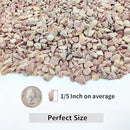 2LB Succulent and Cactus Gravel Pebbles, 1/5 Inch Natural Decorative Polished Stones, River Rocks for Plants, Vases, Aquariums, Terrarium and Outdoor Gardening,Peach by CozyNest Decor