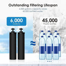 Waterdrop NSF/ANSI 42&372 Certified Water Filter, Replacement for Berkey® BB9-2® Black Filters, ProOne® or Alexapure® Gravity Water Filter System and Waterdrop King Tank Series, (Pack of 2) by CozyNest Decor