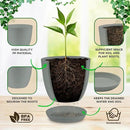 Planter Pots with Drainage Holes - Lightweight, Durable & Space-Saving Pots for Indoor and Outdoor - Versatile Functionality, Simple Modern Design, Set of 20 Plastic Planter Pots - Gray by GreenHaven Gardens