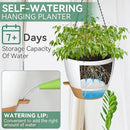 ZMTECH 12 Inch Hanging Planters for Indoor Outdoor Plants, 1 Pack Self Watering Hanging Plant Pots with Drainage Holes and Removable Saucer, Plastic Flower Hanging Pots with Watering Lip (White) by CozyNest Decor