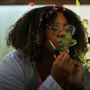 Fiskars 6" Pruning Scissors for Flower Stems, Herbs, Buds, and Small Plants, Garden Snips with Stainless Steel Blades, Gardening Trimmers with Comfortable Handle by GreenHaven Gardens