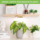 LORDEM 6.3” Bamboo Ceiling Grow Light for Indoor Plants, 72 LEDs Full Spectrum Plant Light, Corded, Halo Under Cabinet Growing Lamp with 4/8/12H Auto Timer, 4 Brightness Levels, Ideal for Pot Plants by GreenHaven Gardens