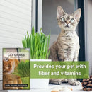 Sow Right Seeds - Bulk Cat Grass Seeds for Planting - 8 oz - Non-GMO Heirloom 100% Sweet Oats Grass for Cats and Dogs - Easy to Grow Healthy Greens - Safe & Natural Indoor Use - Ideal for Pet Lovers by GreenHaven Gardens