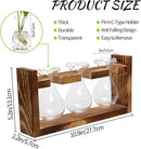 Plant Propagation Station Plant Terrarium Unique Birthday Gifts for Women Plant Lovers Home Office Decor Planter with Wooden Stand - 3 Bulb Glass Vase by GreenHaven Gardens
