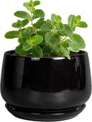 G EPGardening Small Ceramic Planter - 4 Inch Succulent Pots with Drainage Hole & Sacuer, Flower Pots for Indoor Outdoor Plants, Modern Decorative Round Planter, Room Decor, House Warming Gifts, Black by GreenHaven Gardens