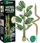 63'' Bendable Moss Pole Monstera Plant Support for Climbing Indoor Plants - Stakes for Potted Climbers - Tall Sticks Indoor Trellis for Houseplants - Accessories for Monstera Pot by GreenHaven Gardens