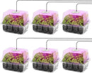 MIXC 6-Pack Seed Starter Tray with Plant Light,Seedling Trays with Adjustable Humidity Domes & Clear Cell Trays 12 Full Spectrum LED Beads for Indoor Plant Growth(Transparent) by GreenHaven Gardens