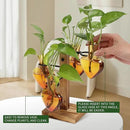 Plants Propagation Stations Plant Terrarium Kit Glass Planters for Indoor Plants House Plant Accessories Gift for Women - 4 Love Bulb Vase by GreenHaven Gardens