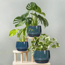 G EPGardening Ceramic Planter 6 Inch - Round Modern Ceramic Pot for Plants with Drainage and Plant Tray Indoor for Flower, Apartment Decor, Housewarming Gifts New Home, Retro Blue by GreenHaven Gardens