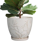 10 Inch Plant Pot Ceramic Planter Pot with Drainage Hole and Saucer Round Planter Large Flower Pot for Indoor Outdoor Plants Home Garden Decor White by GreenHaven Gardens