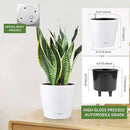 Dexceder 9x8 Inches High Gloss Self Watering Planter Indoor Outdoor, Inner Pot Design, Thickened Table Flower Plant Pot with Water Level Indicator (White) by CozyNest Decor