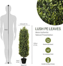 4ft Artificial Boxwood Topiary Trees (Set of 2) - UV Resistant Faux Plants for Outdoor/Indoor, Realistic 48in Fake Bushes and Shrubs for Front Porch, Planter, Patio - Low Maintenance & Evergreen by GreenHaven Gardens