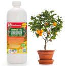 Premium Liquid Citrus Tree Plant Fertilizer - 3-1-2 Concentrate for Indoor Plants and Flowers by Gardenera | Organic Plant Food for Citrus Trees - 32oz by GreenHaven Gardens