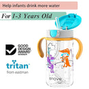 Evorie Tritan Spill Proof Toddler Straw Sippy Cup, 10 oz for Baby and Toddlers 1-3 Years Old, No Spill Straw Water Bottle with Removable Handles, Ideal for School, BPA-Free (Imaginations) by TinyTreasures Baby Boutique