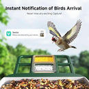 Bird Feeder with Camera AI Identify 2K Live Video Smart Bird Feeder with Camera, 2.4GHZ WiFi Solar Birds House Cameras, Motion Detection Instant Arrival Alerts, Ideal Present for Birds Lovers by CozyNest Decor