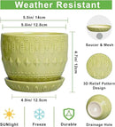 G EPGardening Ceramic Planter 5.5 Inch - Boho Plant Pot Indoor with Drainage Hole and Saucer, Round Flower Succulent Pot for Plants, Plant Lovers Gifts, Garden Office House Decor, Green by GreenHaven Gardens
