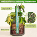 DUSPRO Self-Watering Natural Green Forest Moss Pole, Easy to Use Moss Sticks for Indoor Plants, Climbing Plant Support Stake with Self-Watering Feature, Moss Pole Monstera Plant Support 2pcs 23'' by GreenHaven Gardens
