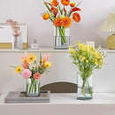 36pcs Glass Vase Cylinder for Centerpieces Small Flower Glass Clear Home Decor Centerpiece Table Flower Vase Decorations for Wedding＆Holiday 4,4.7,6Inch Tall by GreenHaven Gardens