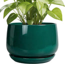 G EPGardening Ceramic Pots for Plants - 9 Inch Ceramic Planter for Indoor Plants, Round Planter with Drainage and Saucer, Modern Flower Pots for Outdoor, House Decor, Garden Gifts, Green by GreenHaven Gardens