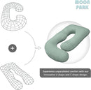 MOON PARK Pregnancy Pillows for Sleeping - U Shaped Full Body Maternity Pillow with Removable Cover - Support for Back, Legs, Belly, HIPS - 65 Inch - Green by TinyTreasures Baby Boutique