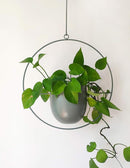 Boho Green Metal Plant Hanger,Metal Wall and Ceiling Hanging Planter, Modern Planter, Mid Century Flower Pot Plant Holder, Minimalist Planter for Indoor Outdoor Home Decor by GreenHaven Gardens