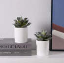 Duovlo Artificial Succulent Plant 5.15 Inch Faux Succulents Agave potatorum Flower Arrangement Craft Wall DIY Materials,Pack of 2 (New Green) by GreenHaven Gardens