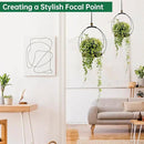2 Pack Hanging Planters for Indoor Plants, Black Plant Hanger with Sturdy Wood Base, Modern Boho Macrame Hanger, Wall Ceiling Window Planters (Plants/Pots Not Included) by GreenHaven Gardens